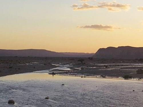 דרכים במדבר